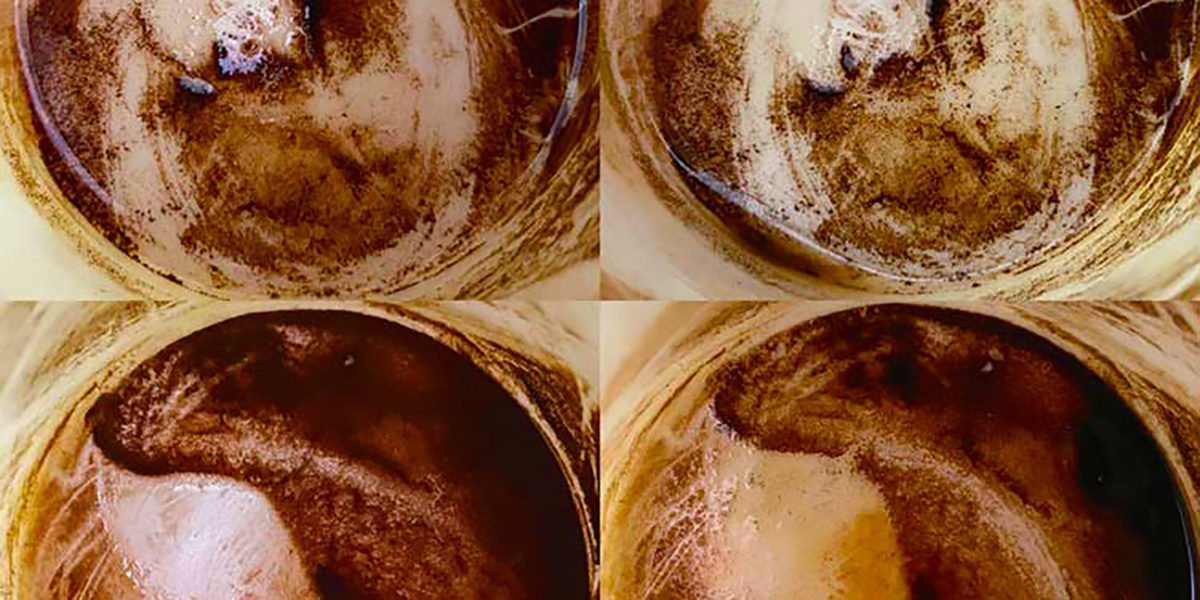 Coffee based art exhibition printed works gallery wall